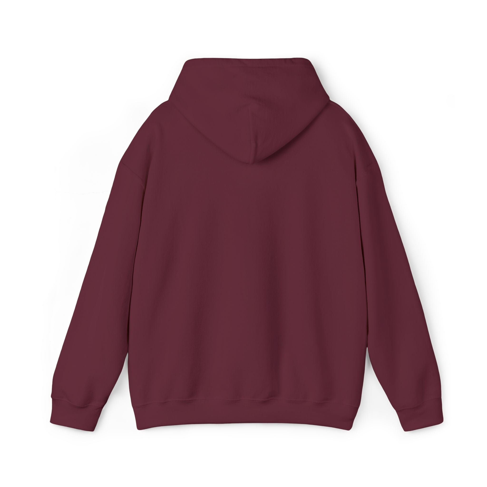 Embroidered "Singh is king" hoodie