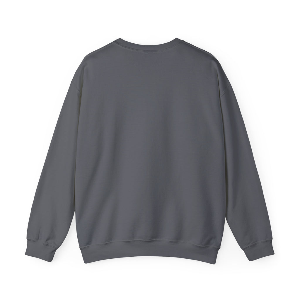 Punjaban sweatshirt